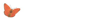 naturkosmetik grimma marion gneupel