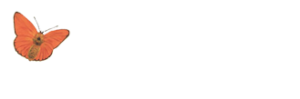 naturkosmetik grimma marion gneupel